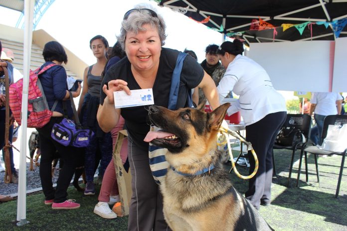 ssa_vacunacion antirrabica